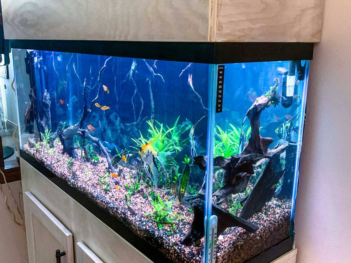 Aquarium Cabinet